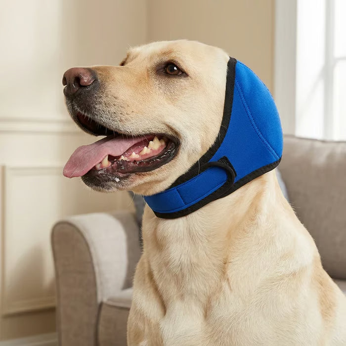 Royal Blue dog ear muffs