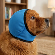 Blue dog ear muffs