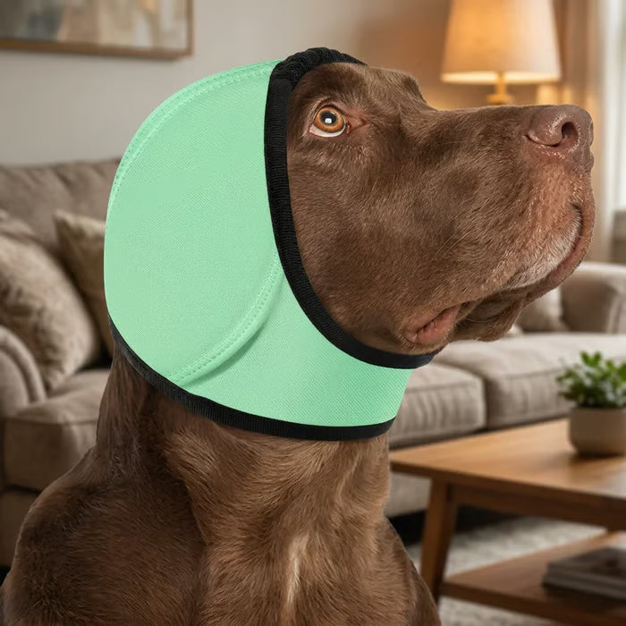 Light Green dog ear muffs