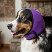 Purple dog ear muffs