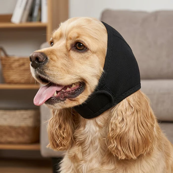 Black dog ear muffs