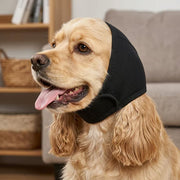 Black dog ear muffs