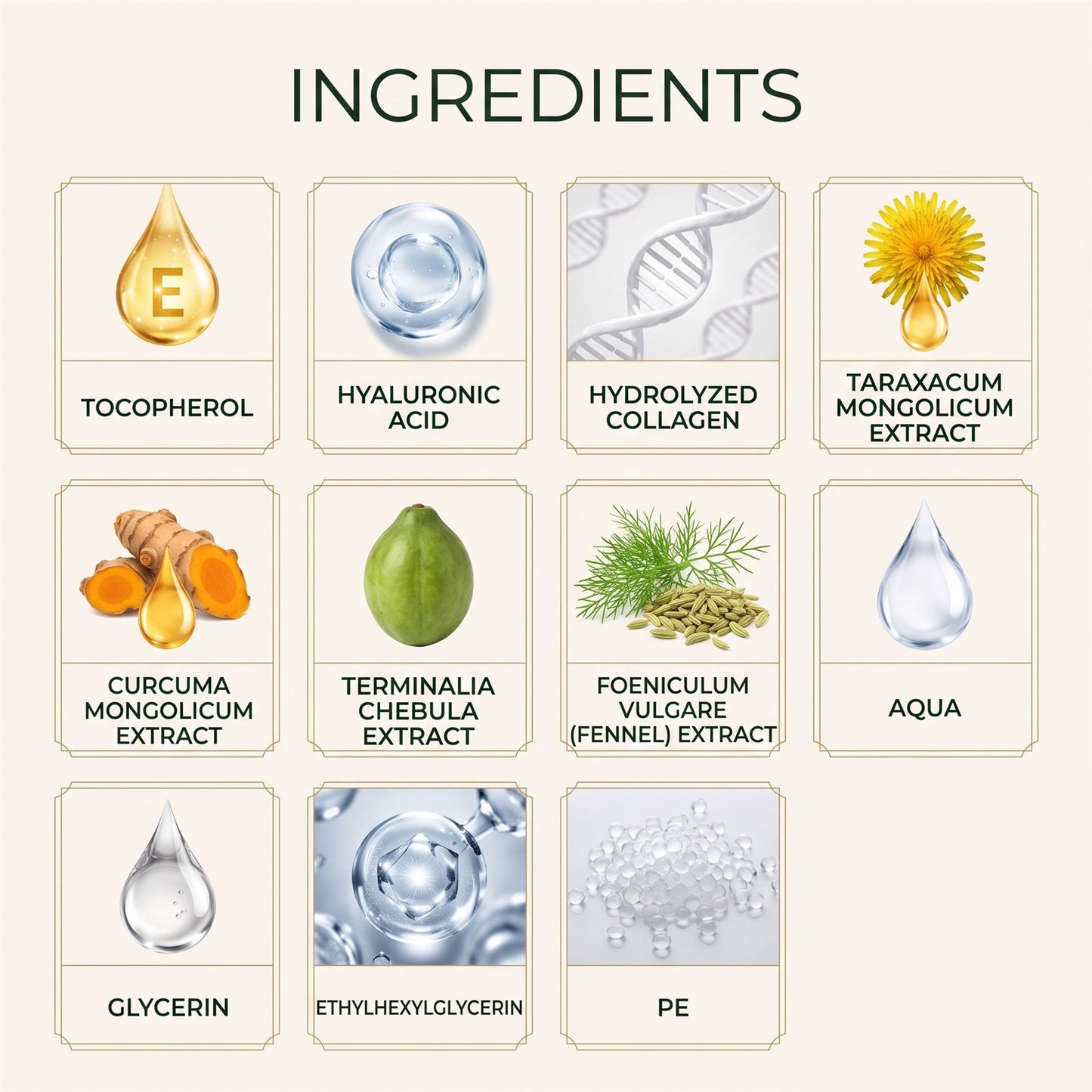 Fotlum Navel Detox Patch ingredient overview