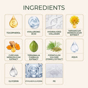 Fotlum Navel Detox Patch ingredient overview
