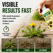Fast-acting natural weed and grass killer spray visible results fast